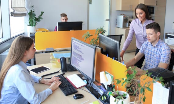 Information On Different Tree Solution Walkways Planting Blog